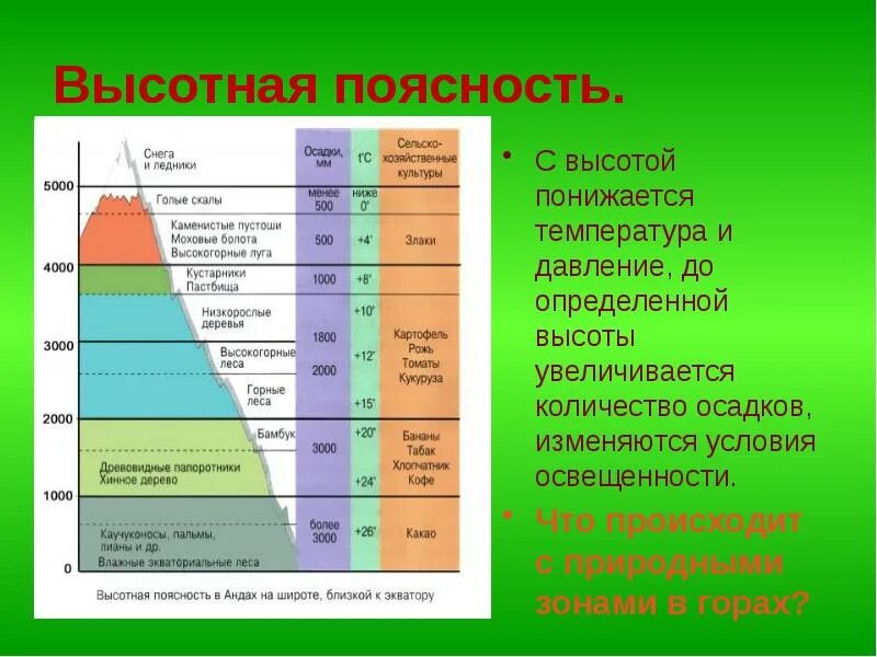 Природная зона россии области высотной поясности. Природные зоны Евразии Высотная поясность. Природные зоны Евразии области ВЫСОТНОЙ поясности. Высотная поясность в горах на территории России. Зона ВЫСОТНОЙ поясности таблица.