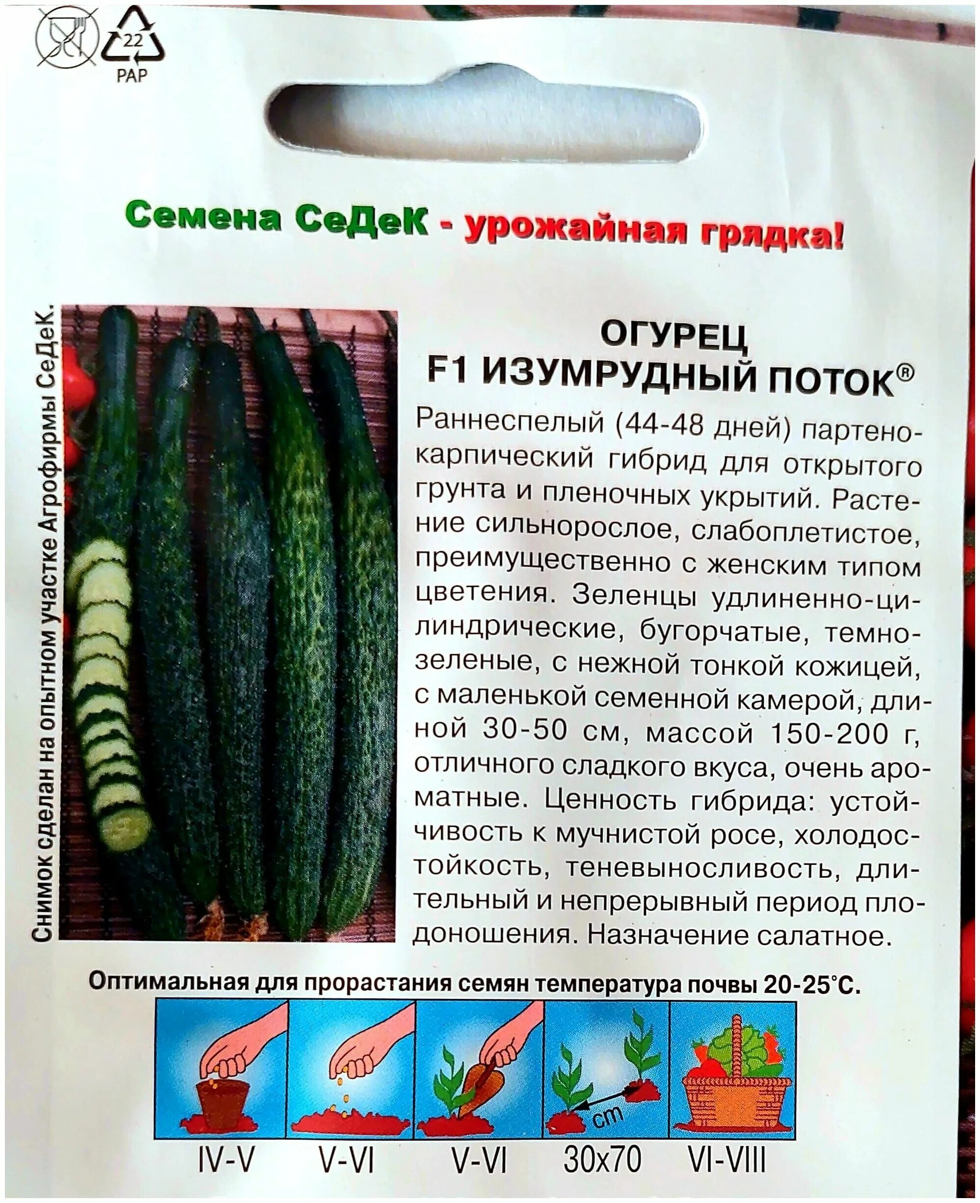 семена овощей огурец "изумрудный поток евро", 7шт. огурцы изумрудный поток описание. огурец изумрудный поток f1 описание. аллигатор огурец описание. огурец изумрудный поток ф1.