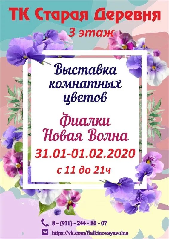 Выставка фиалок в кировском универмаге. Фиалки новая волна 2022. Выставка фиалок 2022. Выставка фиалок в кировском универмаге. Выставка домашних цветов.