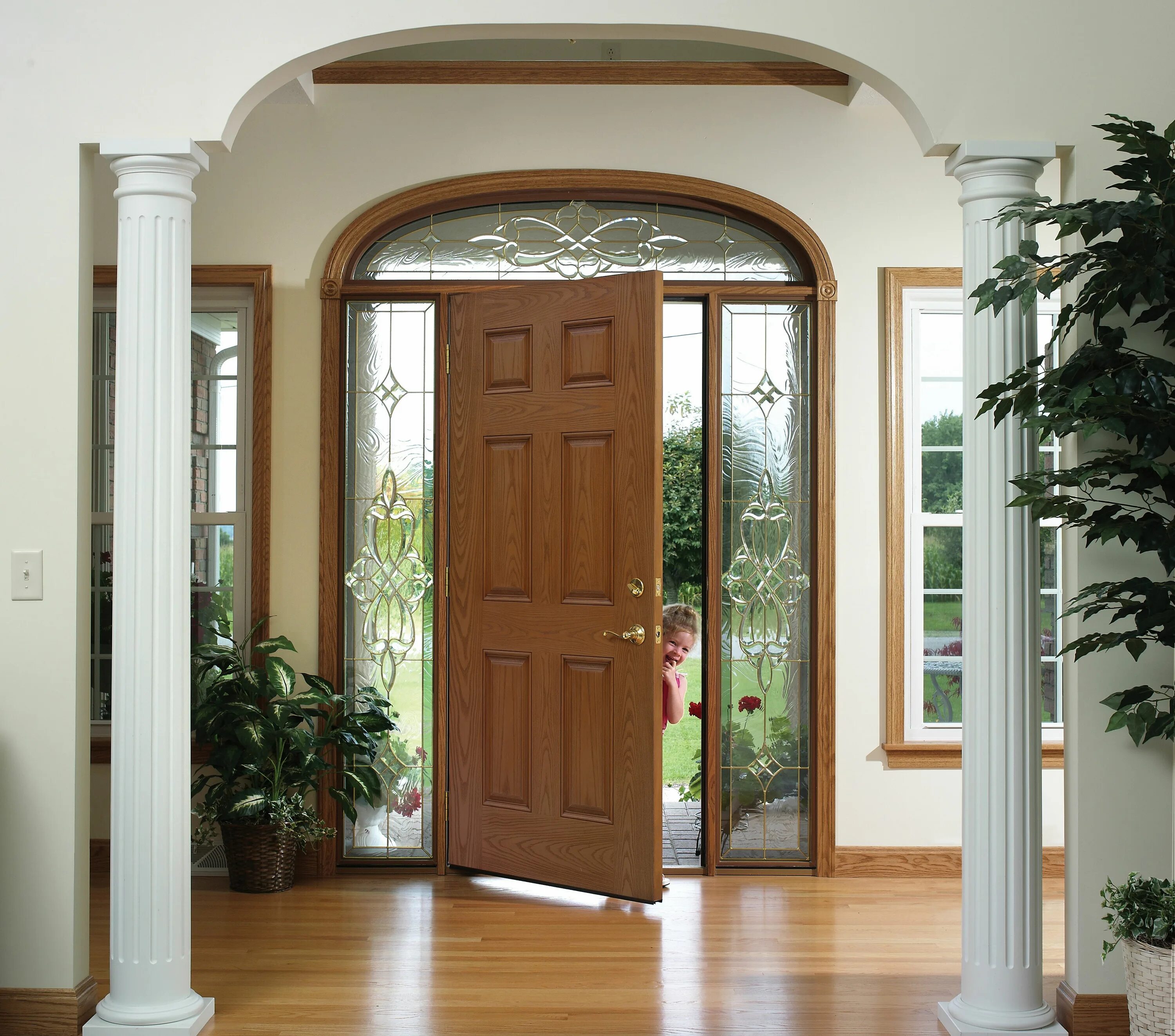 Entry doors. Дверь стеклопакет. дверь колорадо входная. эдисон дверь. the doors.
