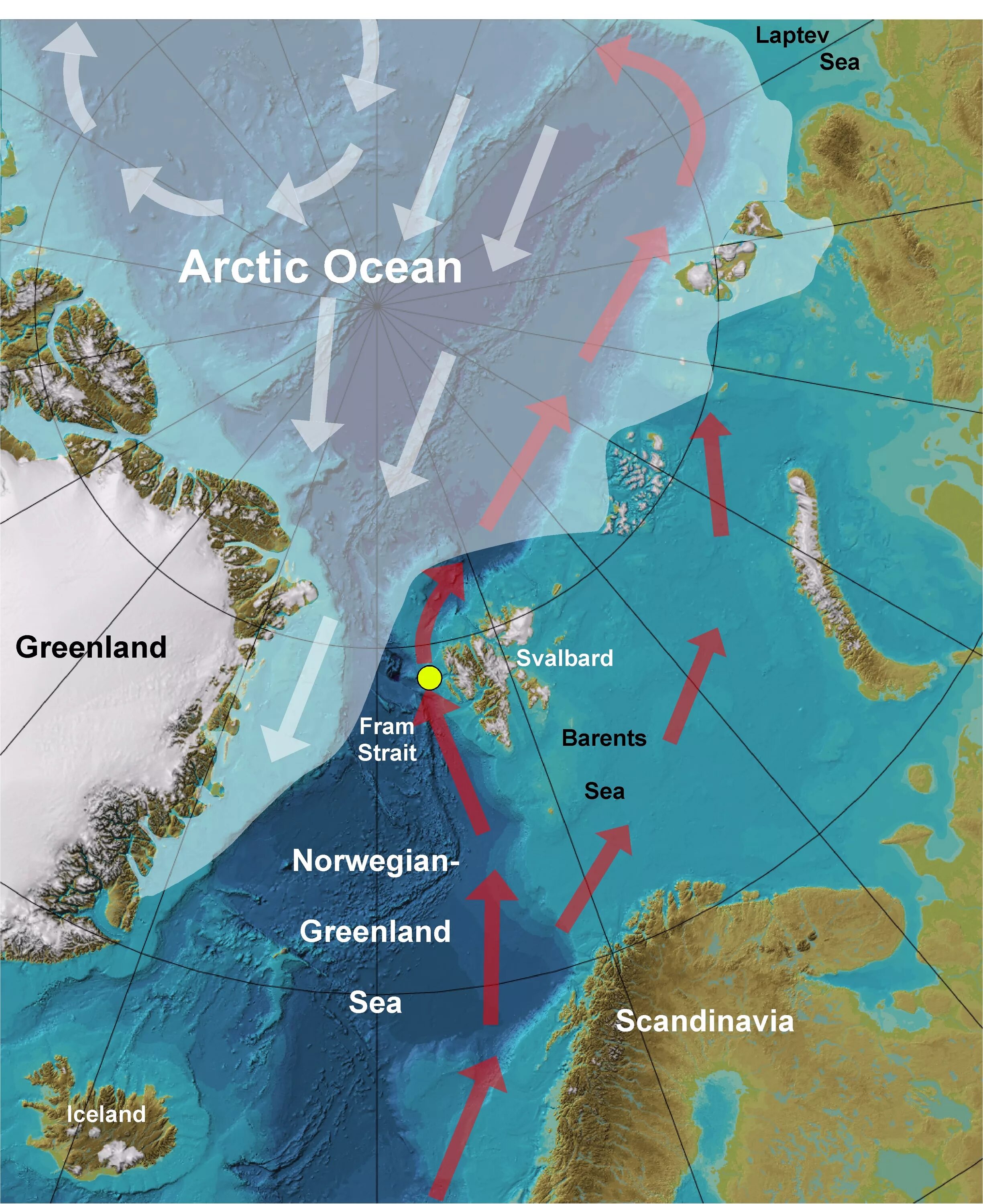 Бассейны мировых океанов. Восточно Гренландское течение на карте Северного Ледовитого океана. Течения норвежского моря. Северно Ледовитый океан течение Восточно Гренландское. Восточно Гренландское течение на карте Северного Ледовитого.