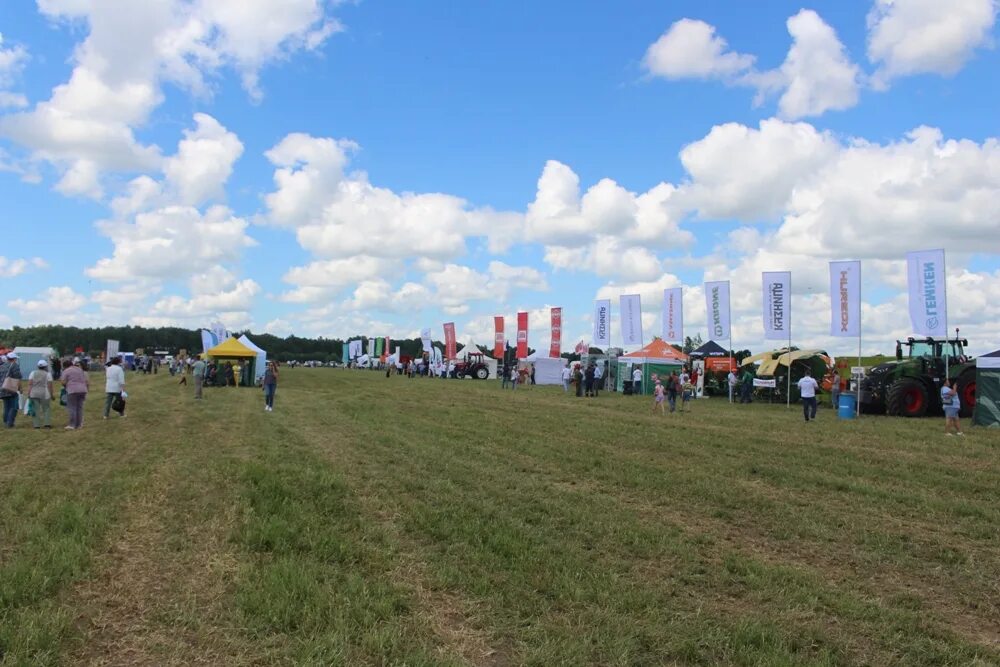 П. Национальный центр зерна им лукьяненко. День поля 2022. Праздник в поле. День воронежского поля.