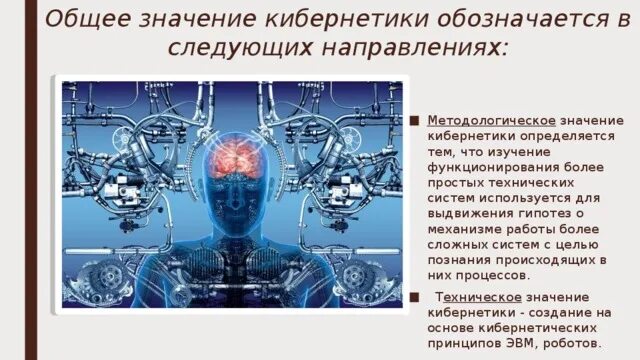 Значение кибернетиков. Значение кибернетиков