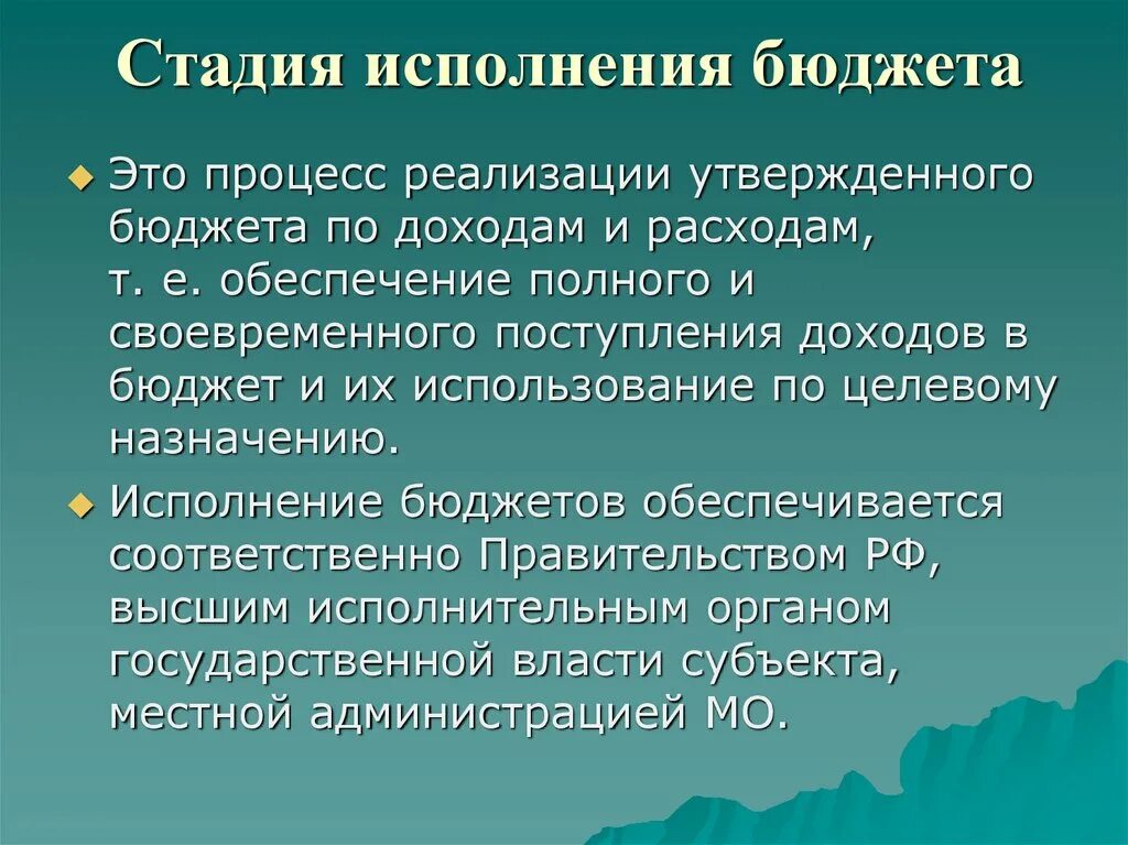 Стадия исполнения бюджета