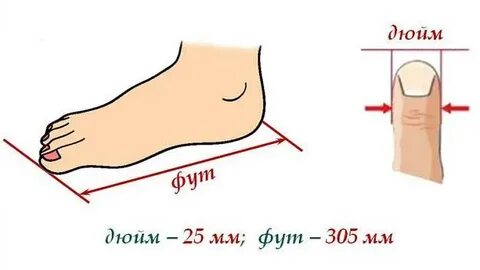 3 фута 3 дюйма