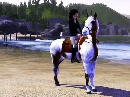 Star equestrian мод