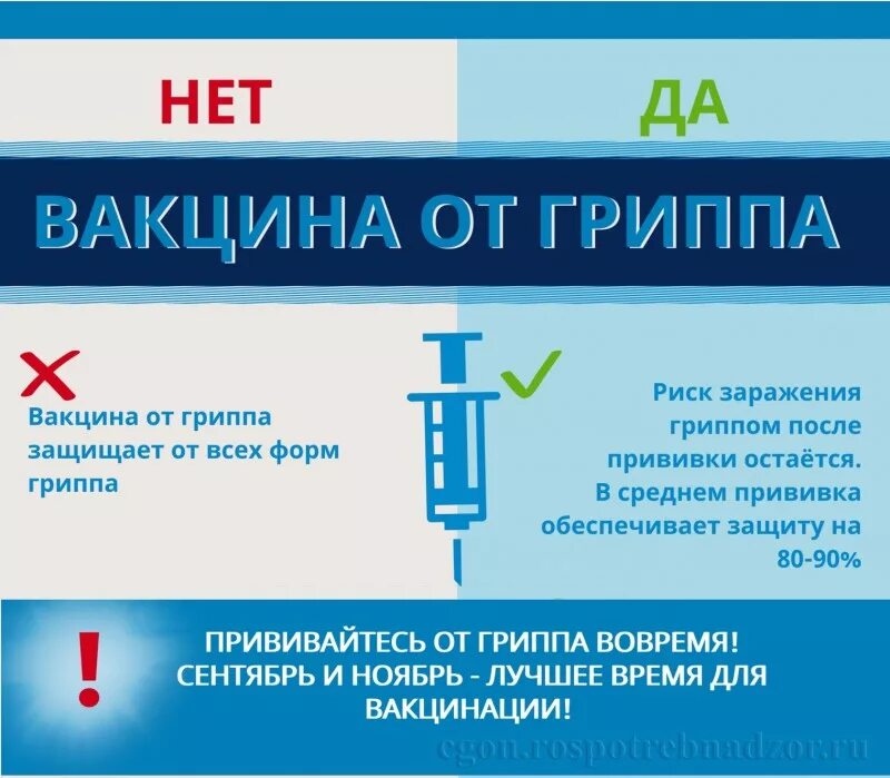 Прививка от гриппа какую сделать. Вакцинация от гриппа.