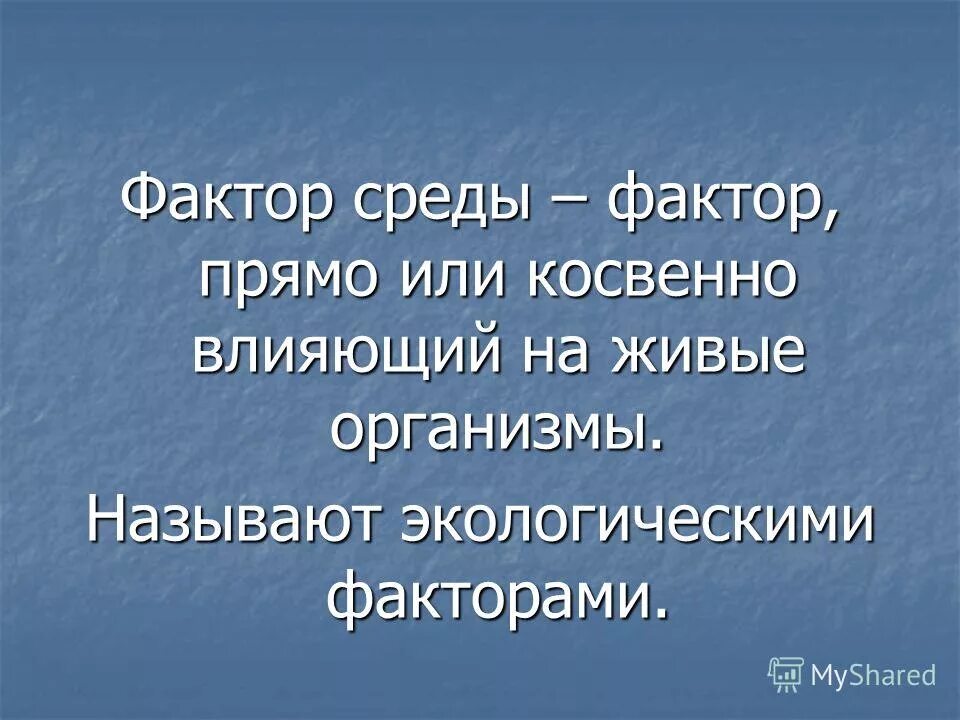 Экологические факторы среды презентация 9 класс