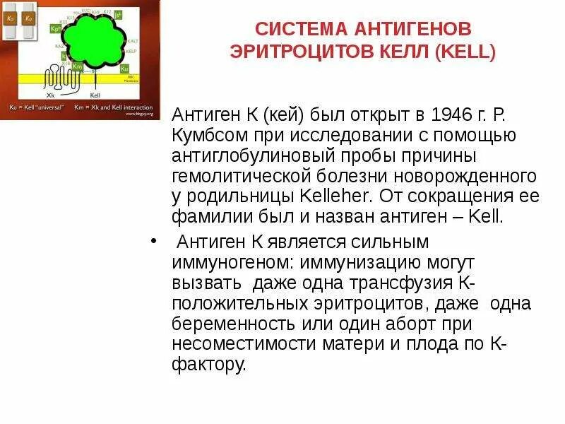 Положительный антиген в крови. Келл антиген. Антигены системы Келл. Антигены системы kell что это. Антиген Келл отрицательный.