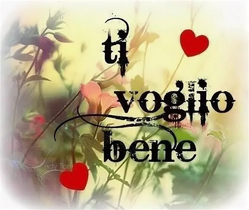 Ti voglio bene. Ti voglio bene картинки. Voglio bene сумки. Ti voglio bene на белом фоне. Ti voglio bene опера.