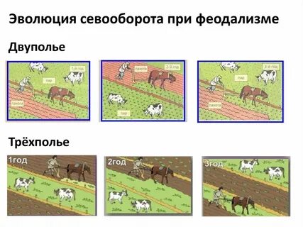 Что такое трехполье