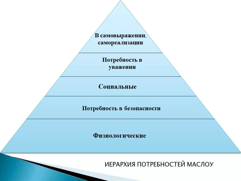 В потребность в одежде социальная потребность