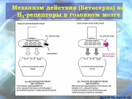 Н механизм действия