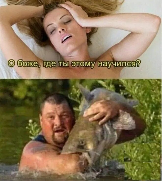 главное не смейтесь. анекдоты про жизнь. занудство афоризмы. смех и грех продлевают жизнь. брюс робертсон.