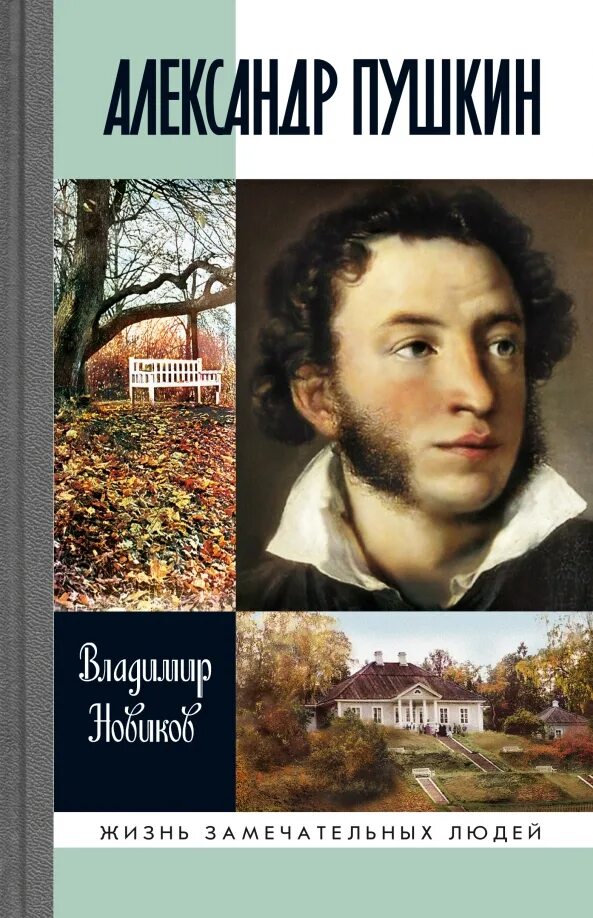 В. Пушкин обложка книги. "пушкин". Тынянов ю. Книжки о пушкине.