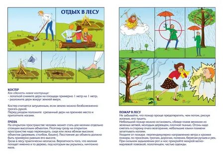 Занятие безопасность на природе