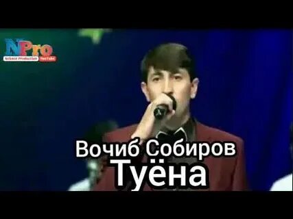 Вочиб собиров