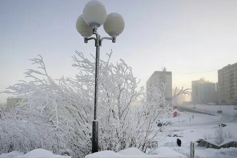 14 градусов город