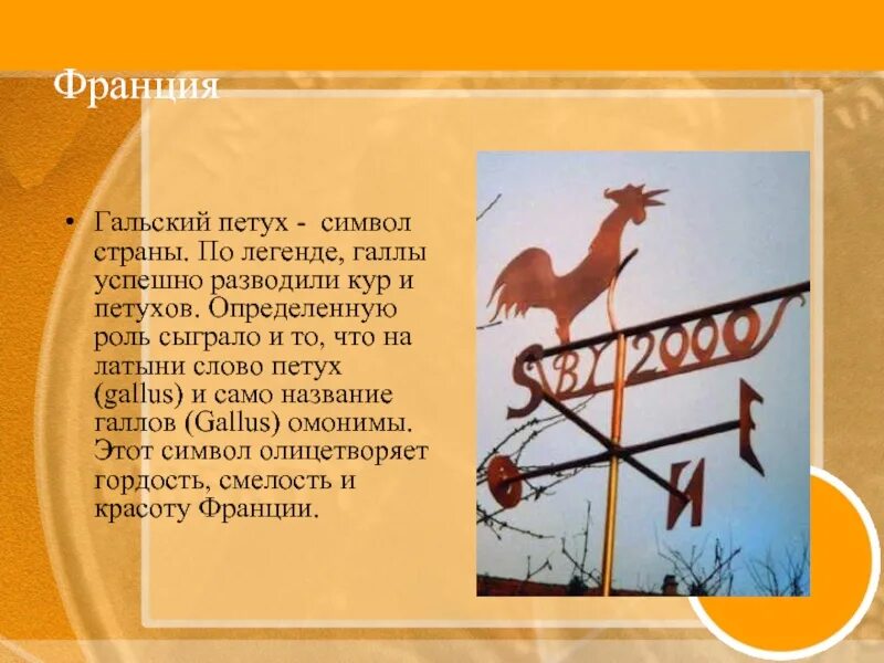 Почему петух символ. Петух символ франции. галльский петух символ франции.