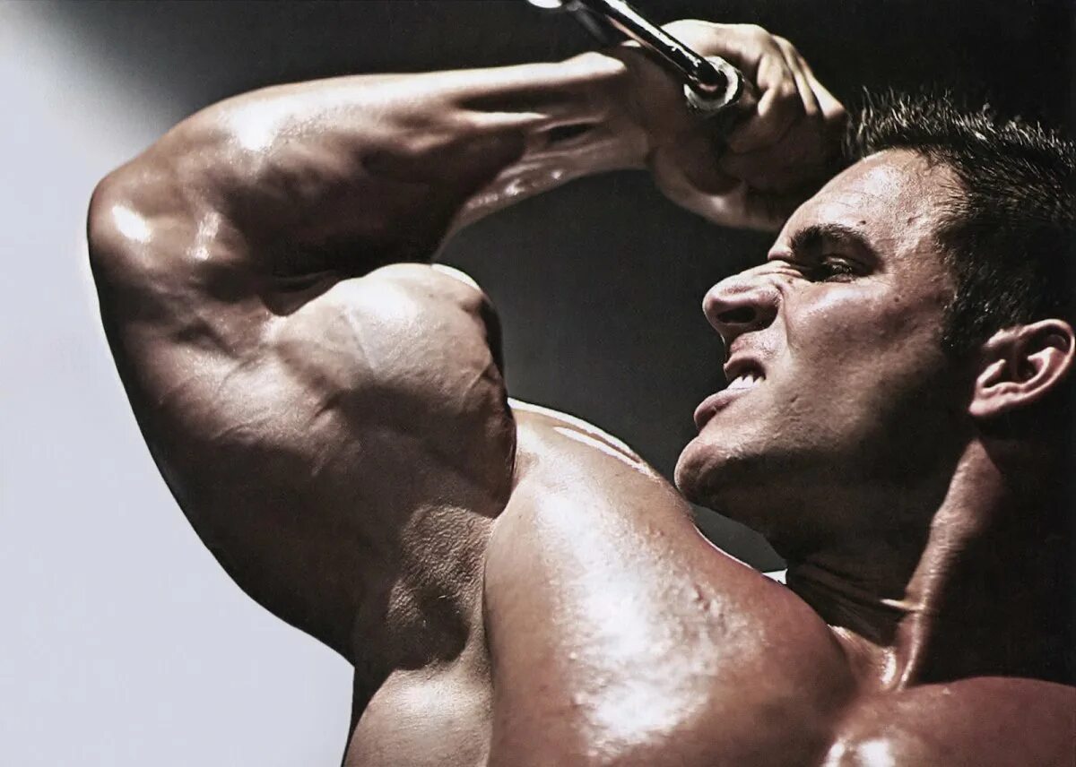 Ларри скотт бицепс. Арнольд шварценеггер боди. Бицепс 60 см. Ларри скотт бицепс. Тонкий бицепс.