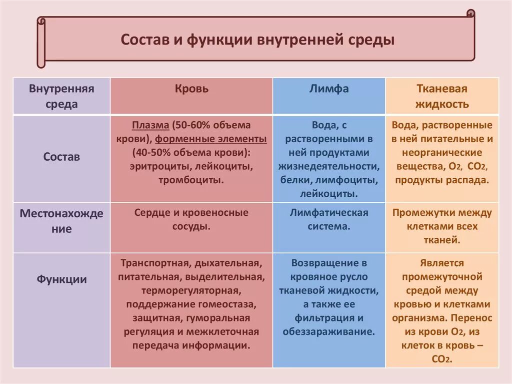 Функции жидкости внутренней среды