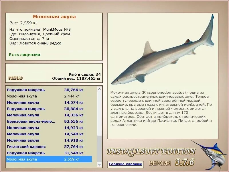 Акула русская рыбалка. Русская рыбалка 376 серебристая акула. Серебристая акула. Русская рыбалка 4 акула. База Мадагаскар русская рыбалка 3.76 серебристая акула.