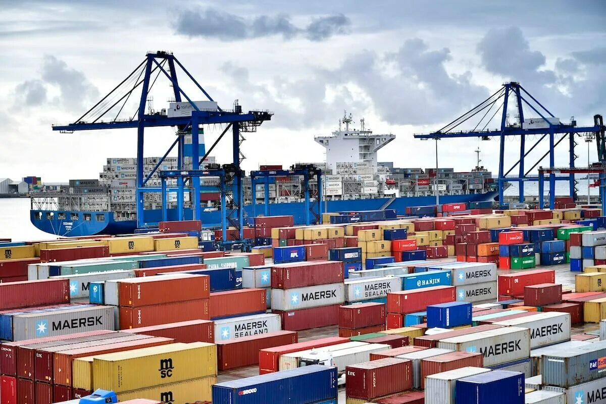 Контейнеровоз hmm algeciras. Морской порт шанхай. Самый большой объем грузов имеет порт. Грузовые контейнеры в порту. Порт енисей строительство.