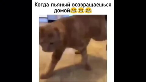 Вернуться пьяные