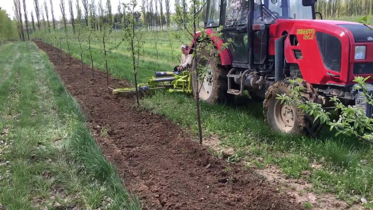 Триммеры и мотоблоки. Трактор сада огорода. Трактор джон дир 5090gl. New holland трактор на винограднике. Деревенский пейзаж с трактором.