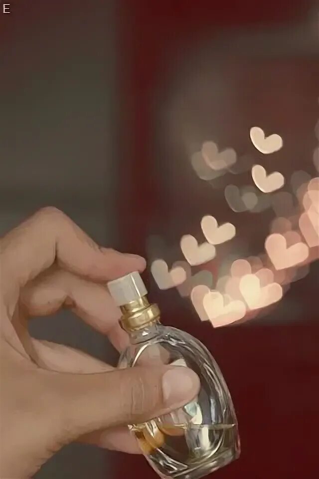 Она не любит духи. Nina ricci духи love in paris. Она не любит духи. Она не любит духи. Шанель мисс диор.