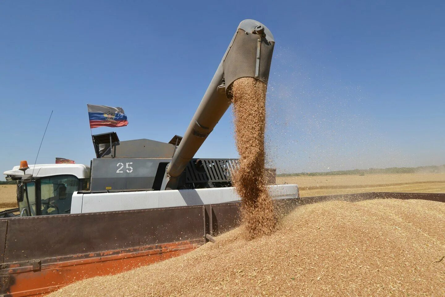 Экспорт пшеницы. Экспорт зерна. Поставки зерна. Импорт пшеницы.