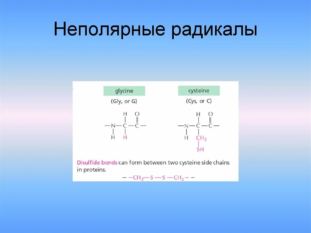 Гидрофобные радикалы повернуты внутрь. Аминокислоты с неполярным гидрофобным радикалом. Неполярные радикалы. Полярные и неполярные радикалы. Глицин неполярный радикал.