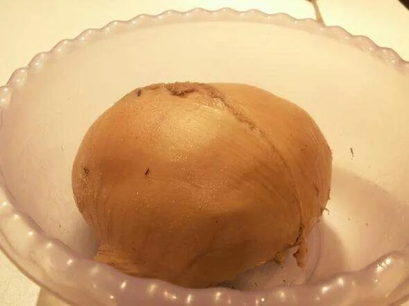 сколько варить свиной желудок. кендюх фаршированный мясом. сколько варить свиной желудок. сколько варить свиной желудок. свиной желудок под пресс.