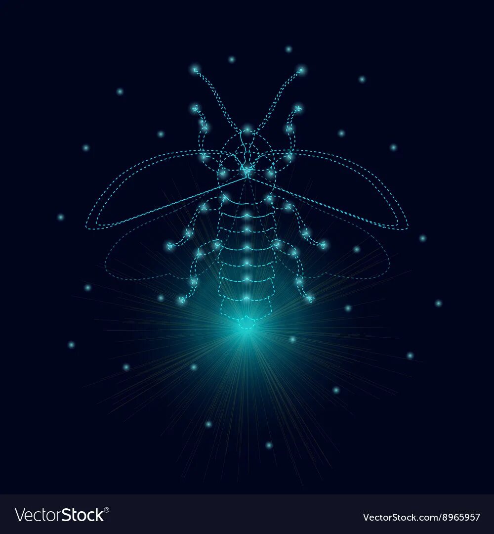 Stelle firefly