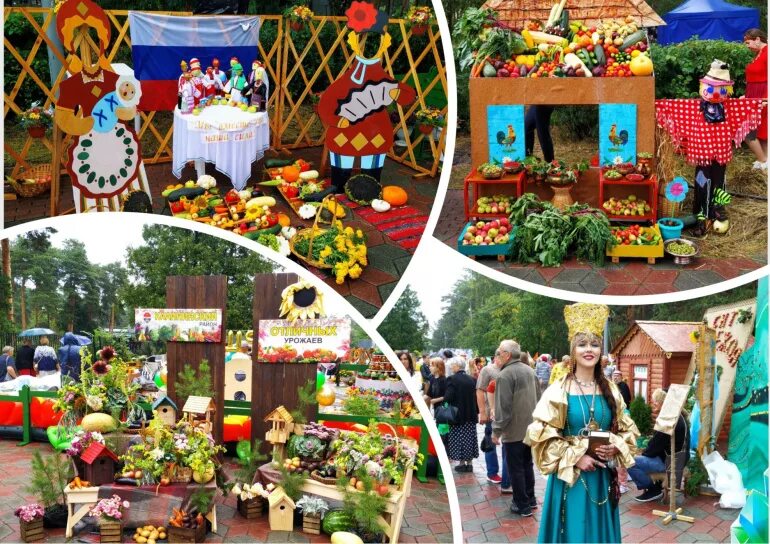 Праздник урожая. Выставка урожая. Выставка цветов и плодов. Выставка цветов и плодов Челябинск 2022 в парке Гагарина.