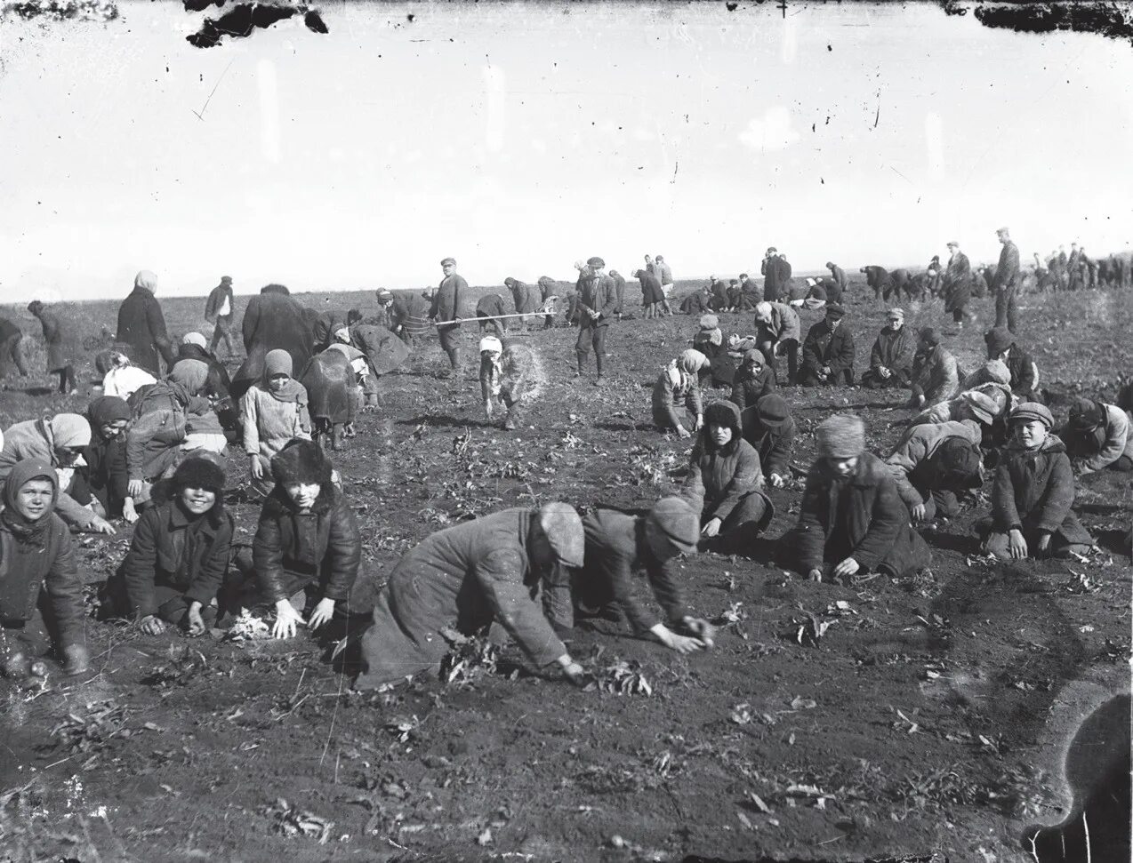 Голод во время великой отечественной. Голода 1932–1933 годов в Поволжье.