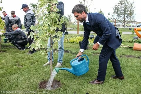 Сади садовод