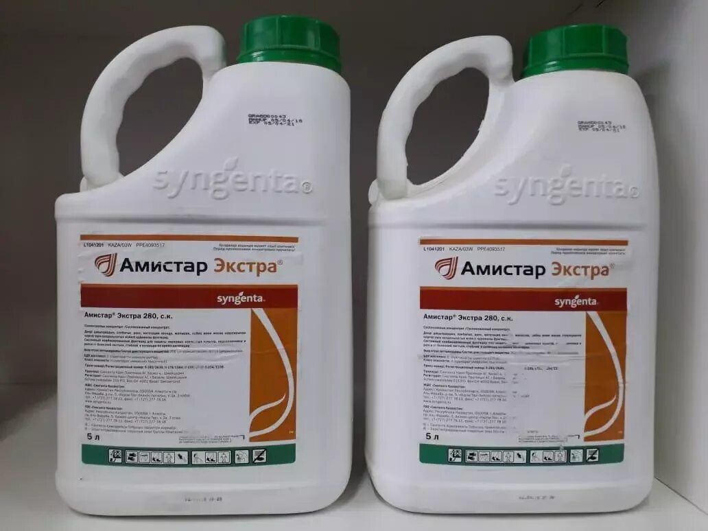 Азорро. Гербициды пестициды фунгициды инсектициды что это. Азорро фунгицид. Азорро фунгицид. Азорро фунгицид.