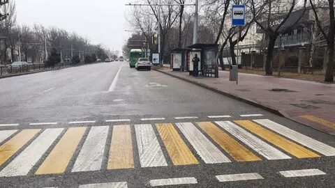 Сбитые на зебре