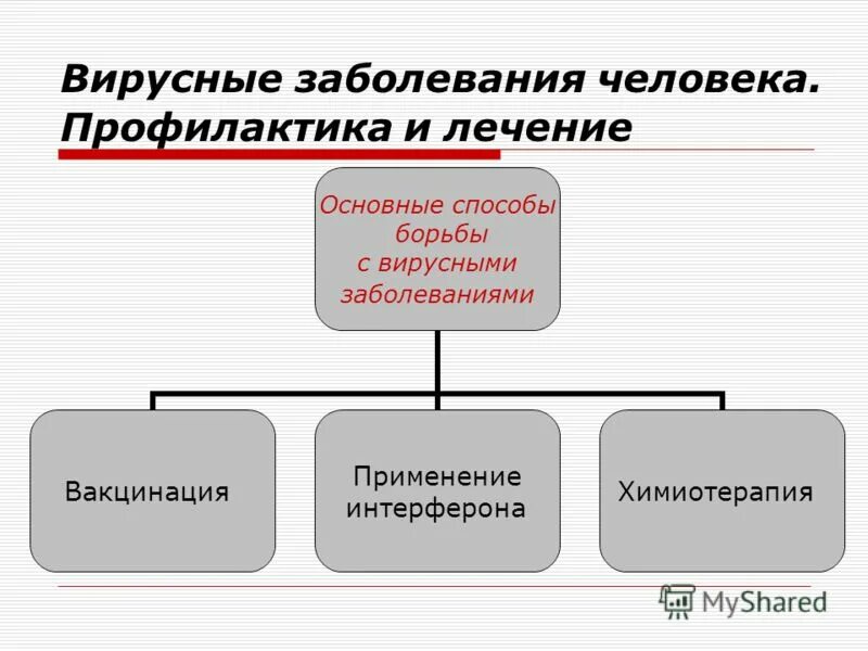 профилактика вирусных заболеваний. меры профилактики вирусных заболеваний. меры профилактики вирусных болезней. профилактика вирусных заболеваний кратко. методы профилактики вирусных заболеваний.