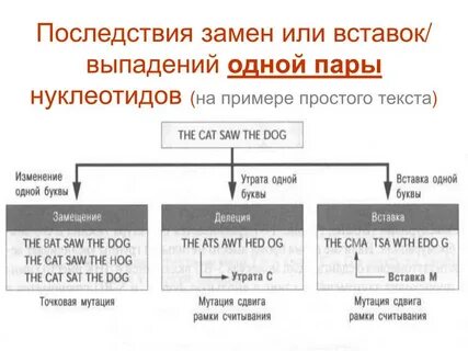 Вставка нуклеотида
