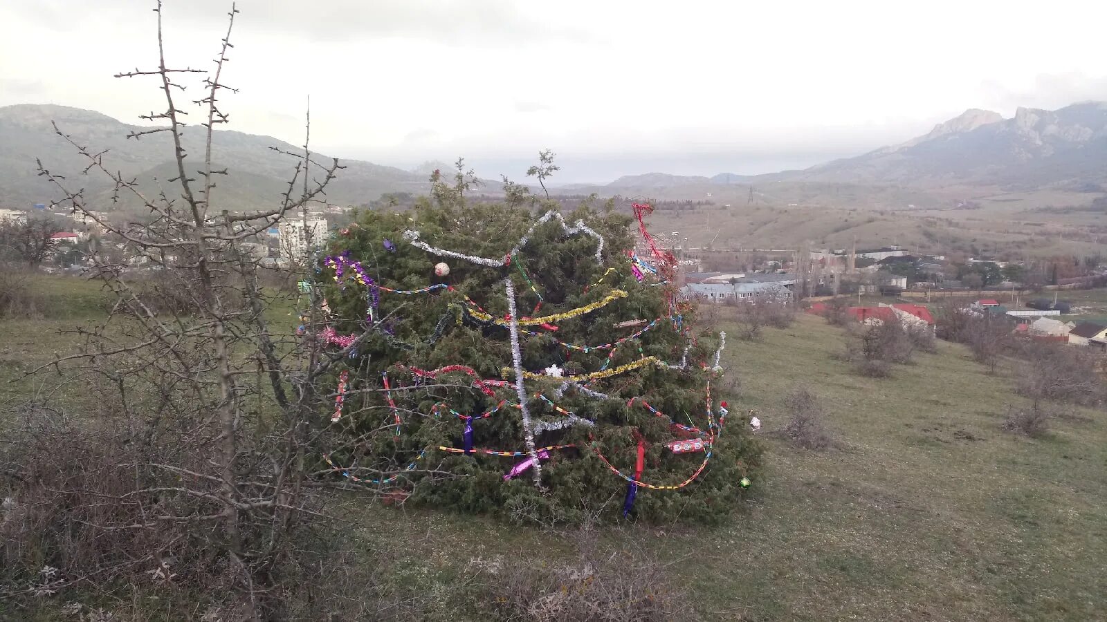 Рп5 щебетовка. Рп5 щебетовка. Щебетовка крым. Папас тепе крым гора. Щебетовка крым википедия.