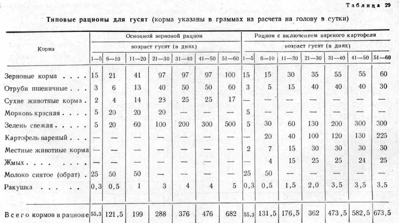 При какой температуре можно кормить