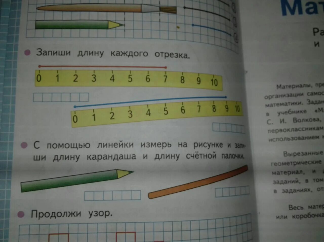 Длина каждый день