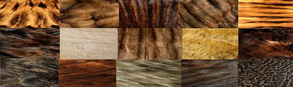 экспертиза меха. мех североамериканской норки. чем отличается мехами. шуба из соболя. чем отличается мехами.