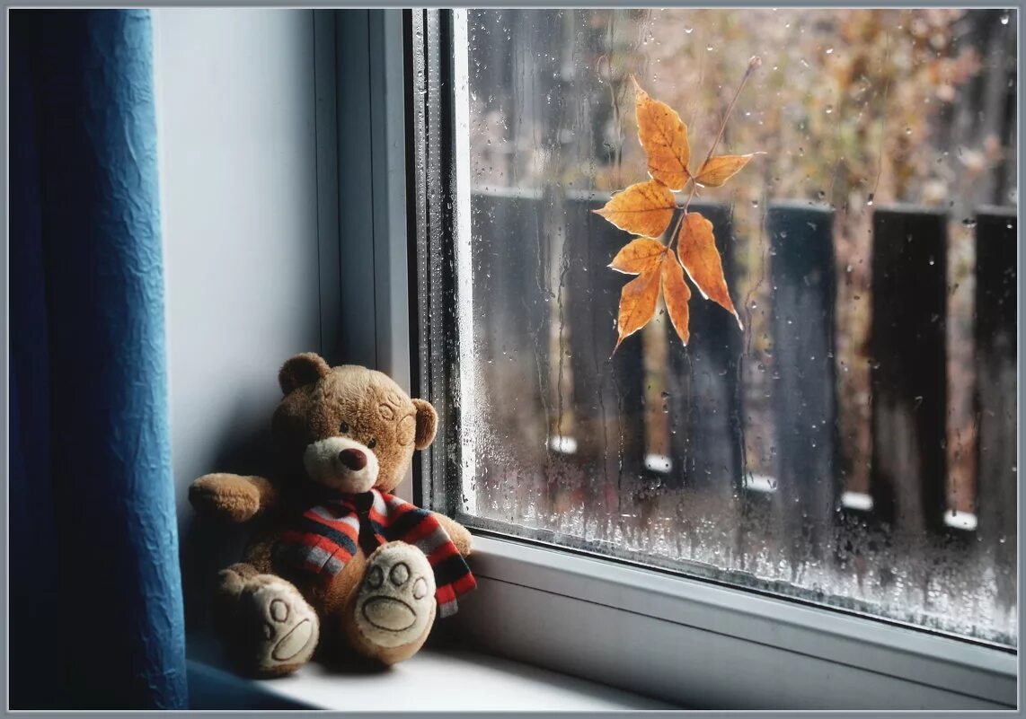 Листья на подоконнике. Дождь за окном. Осень за окном. Осень дождь за окном. Осенний подоконник.