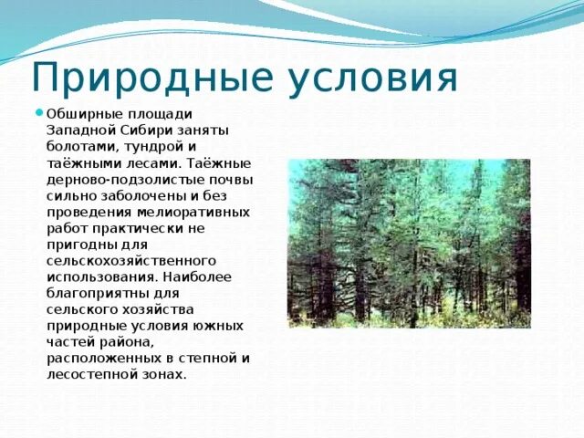 Природные условия и ресурсы западной сибири. Природные условия Западной Сибири. Природные усовиязападной Сибири. Характеристику природным условиям Сибири. Природные предпосылки Западной Сибири.