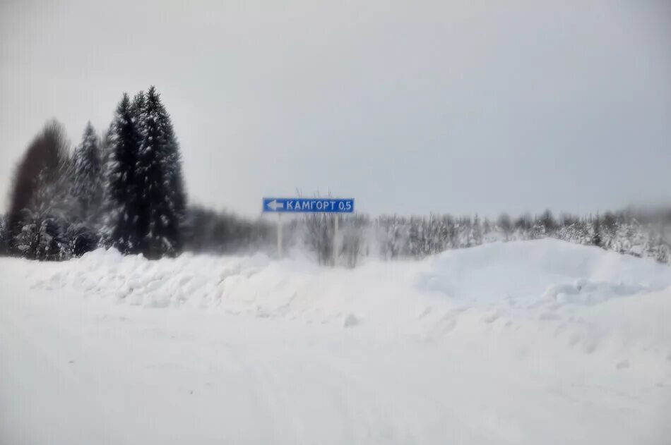 Искор Пермский край Чердынский район. Автобус Чердынь Ныроб. Пермь Великая Чердынь. Ныроб Покча Чердынь на карте. Гисметео пермский край чердынь