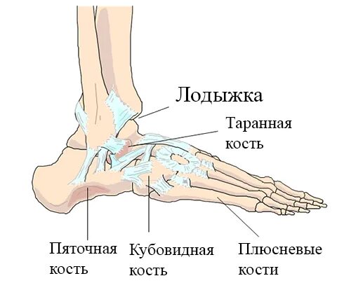 Ладышка это