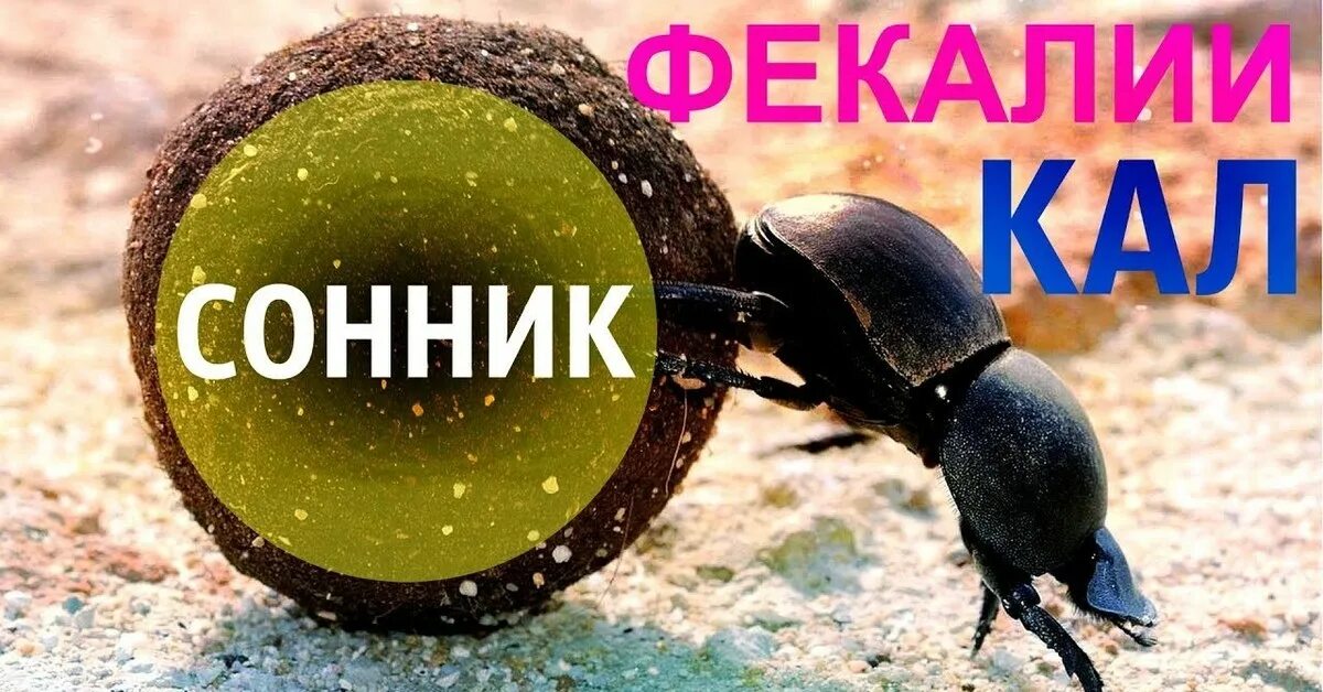 Спать какашка. Какашка к чему снится говно. К чему во сне снится говно. Фекалии сонник фекалии.